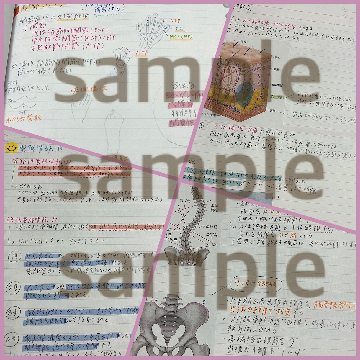 私が勉強した資料を販売致します エビデンスやイラスト付き☻☺︎分かりやすい！点数アップ！ イメージ3