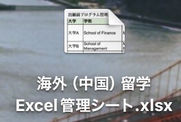 留学の出願、渡航のExcel管理表を販売いたします 実際に中国大学院留学で使ったシートのテンプレ版になります イメージ1