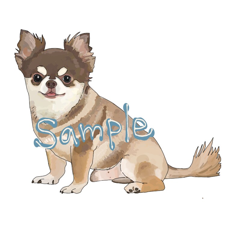 ペット、動物をゆるふわタッチで描きます リアルに近い絵を描くのが得意です イメージ3