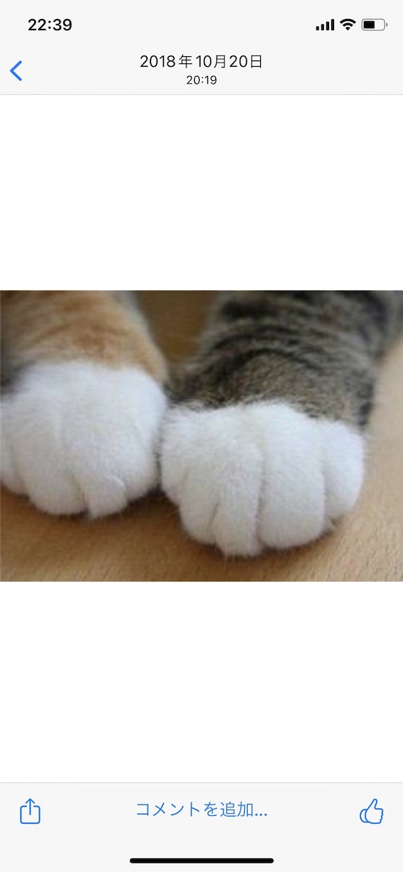 どんな方の不安や愚痴なんでも聴きます 誰かと話がしたい、どんなお話でもあなたの心に寄り添います。 イメージ1