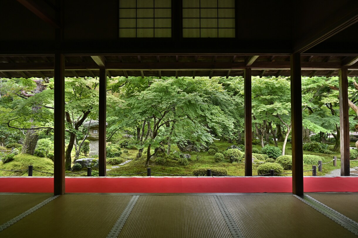 出張撮影承ります 欲しいけど撮りに行く暇ないねん等のお悩みお聞かせください！ イメージ8