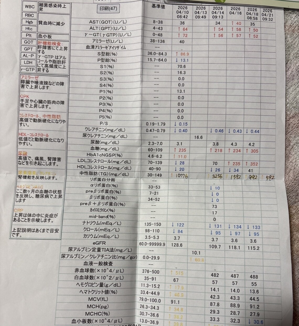 マイナス10kgした私！健康管理を一緒に見直します 中性脂肪10,776→71、HbA1c11.0→6.5 イメージ4