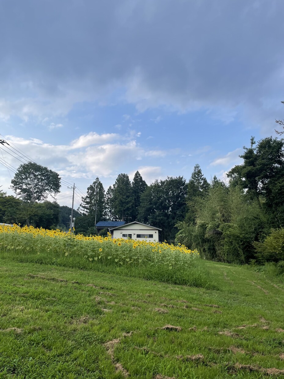 恋愛の質問に答えます 私なりにささいな恋愛の質問にお答えします。 イメージ2