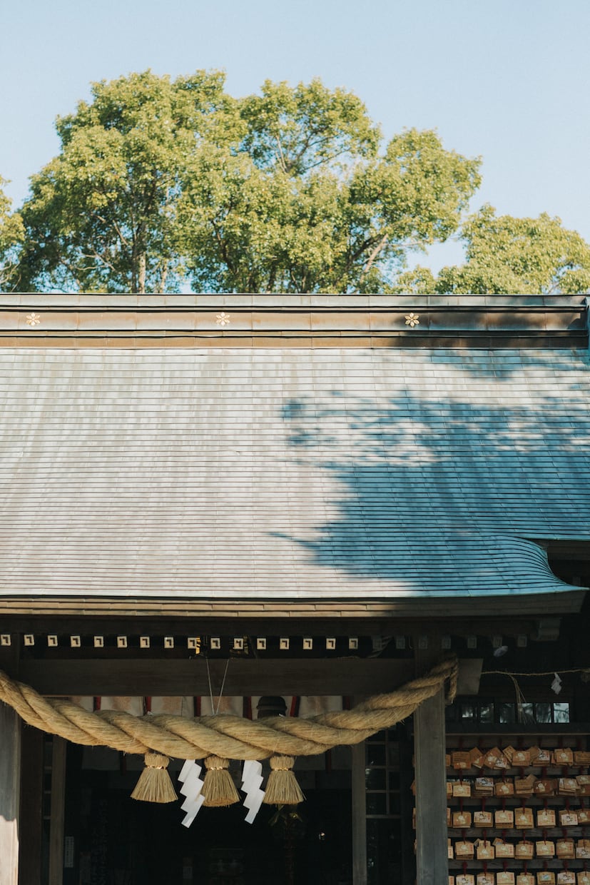 あなたの人生のテーマ・タイミングを鑑定します 難がないのは無難な人生❕難が有るから有難う❕ イメージ1