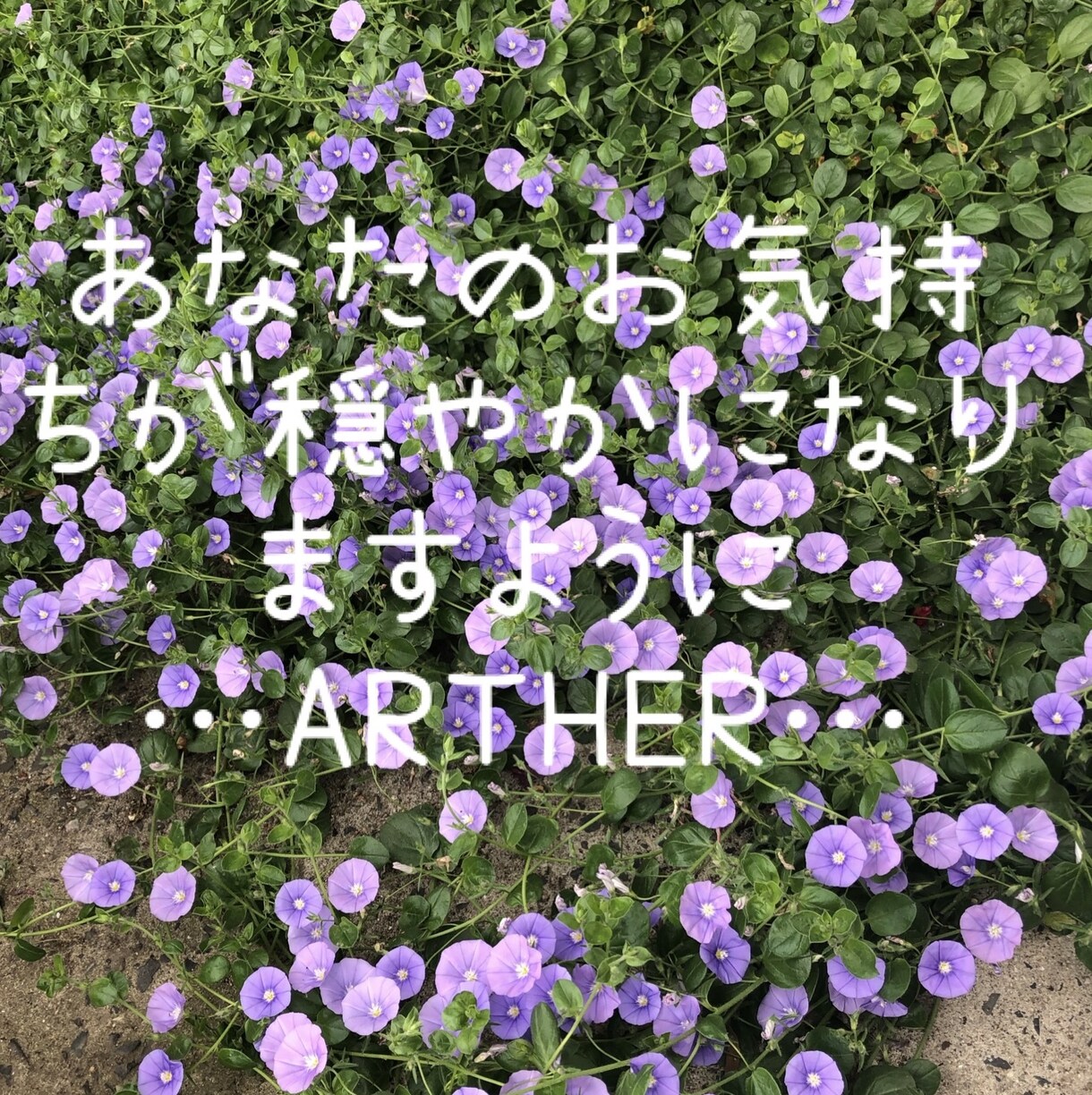 生活･子育て相談･お悩み受け付けます 親身･ポジティブ･明るく優しくあなたの気持ちを考えます。 イメージ1