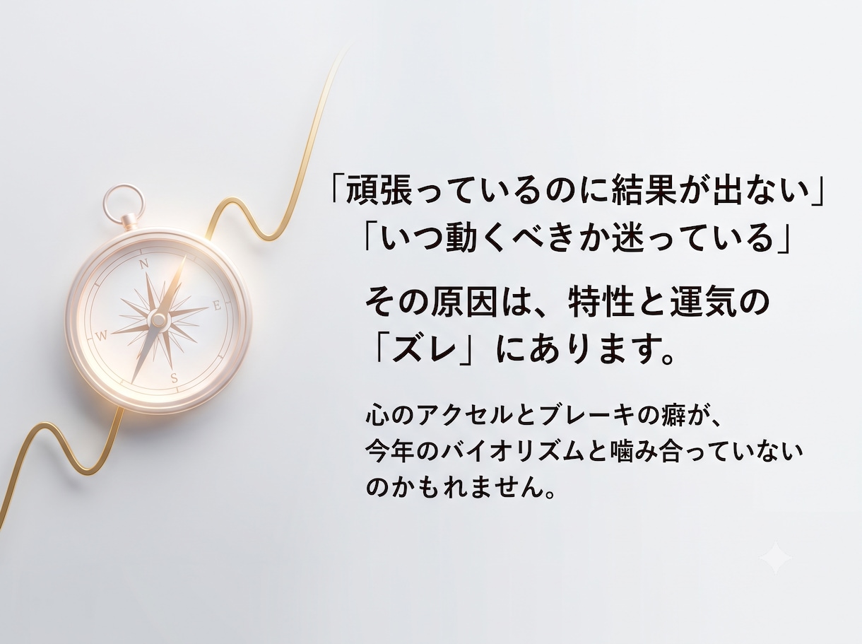今年の運気バイオリズムと動くべき月を特定します 隠れた特性×バイオリズムを紐解き今年の運気を味方につける。 イメージ2