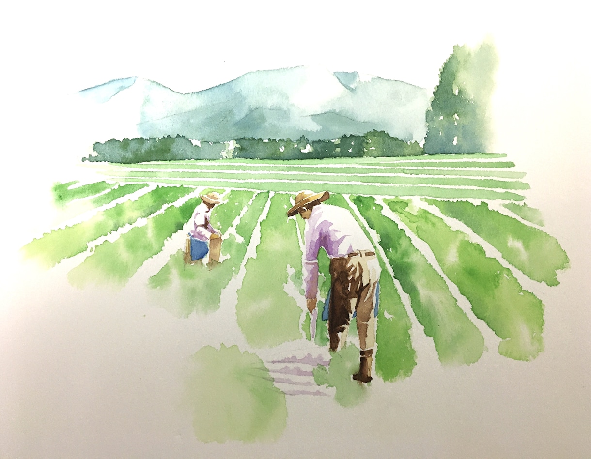 手書きイラスト全般に作製します 水彩画、水墨画、手書きイラスト イメージ1