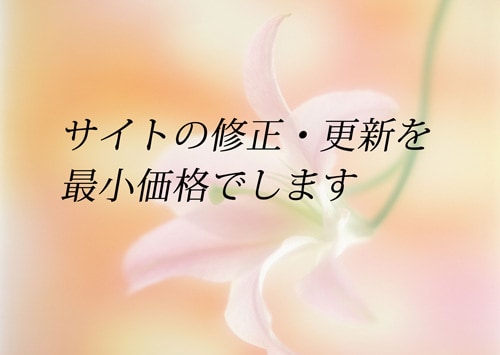 サイトの改修・更新を致します サイトの改修・更新をお安く承ります。 イメージ1
