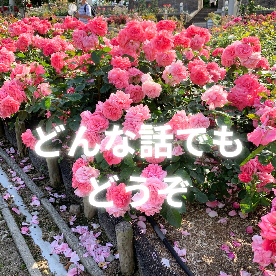 関西弁でも♥️あなたのお話聞きます 今夜はゆっくり♥️愚痴/雑談/話し相手にどうぞ✨ イメージ2
