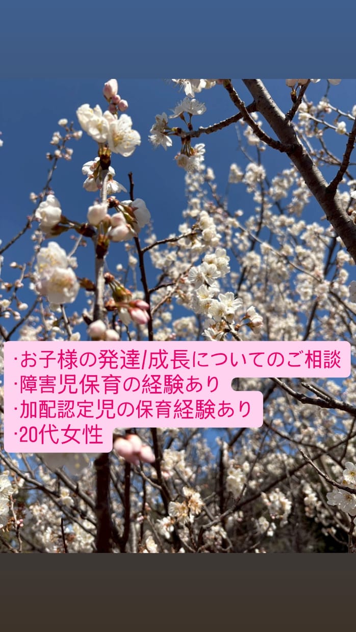 小さいお子様の発達についてのお悩みを伺います お子様の発達や成長に不安がある方の相談に乗ります イメージ1