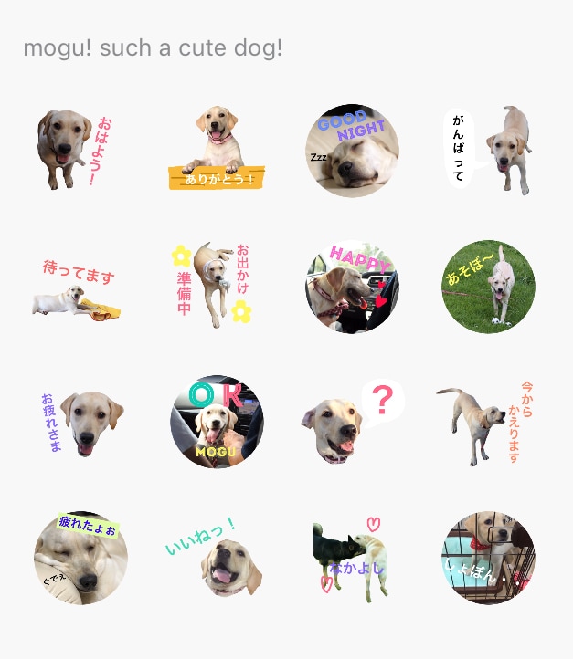 愛犬・愛猫等のLINEスタンプ作成を代行します 友人から複数依頼を受けて始めましたが大好評でした！ イメージ3