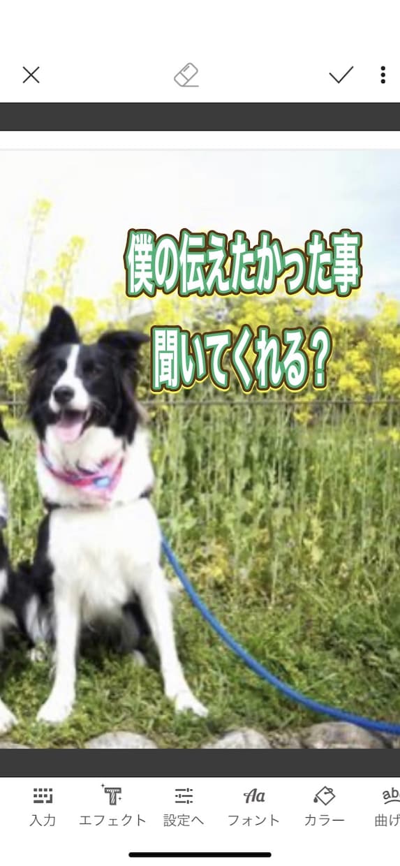 虹の橋からのペットの言葉教えます 家族だった大切なペット、虹の橋からのメッセージです！ イメージ6