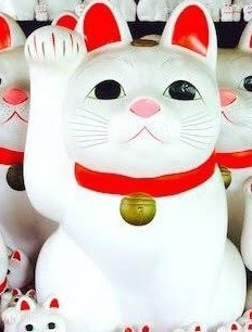 リピーター様はこちらにお願いします リピーター様専用窓口です。占術や手法は柔軟に対応致します。 イメージ1