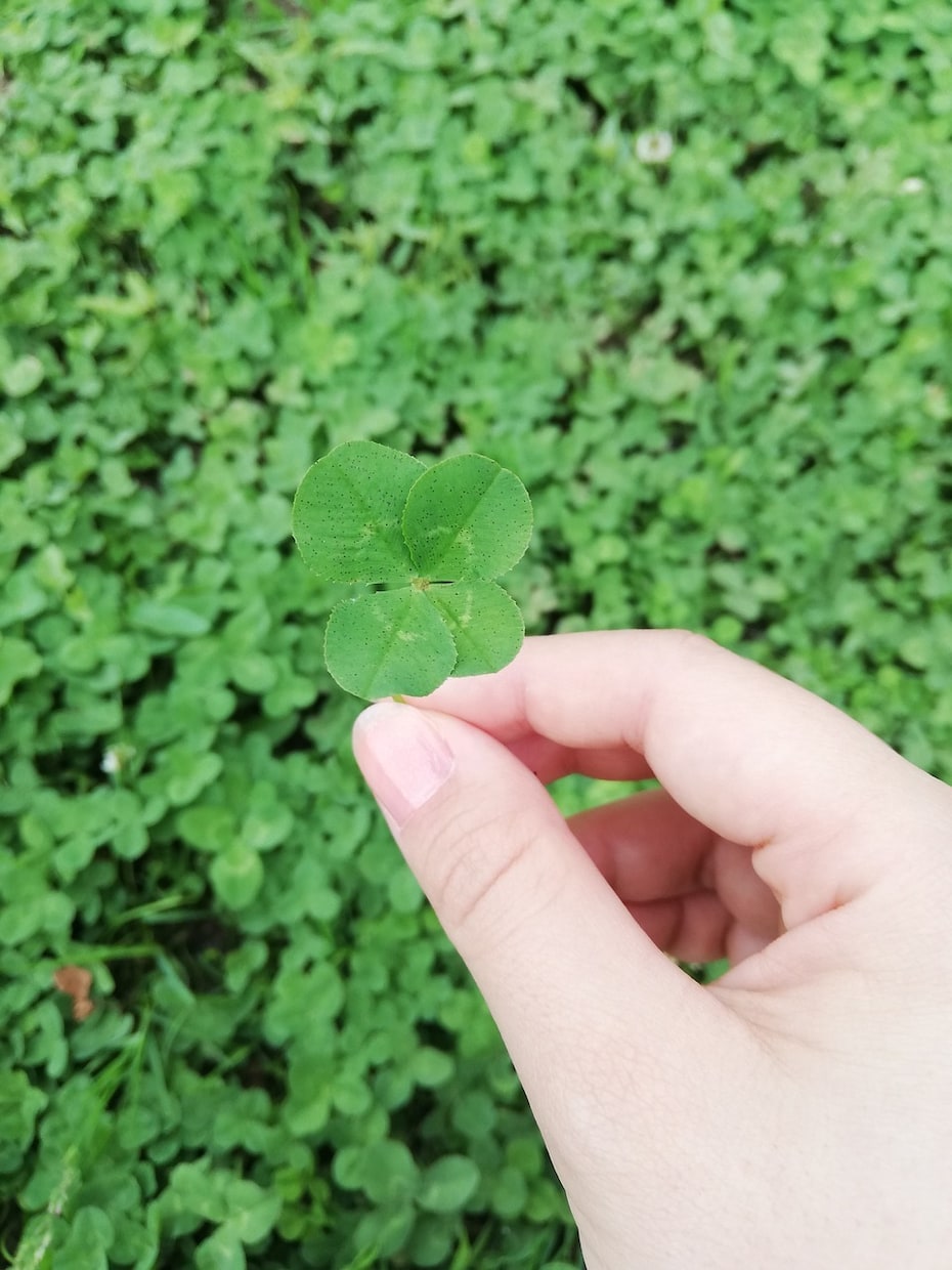 占いを人生に生かすコツを伝授します あなたらしい人生を幸せにするツールとして役に立つからです。 イメージ1