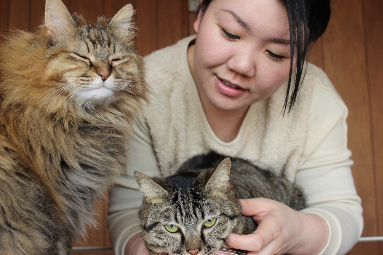 猫さんの相談、悩みお応えします 猫と暮らすあなたの悩みを猫専門のペットシッターに相談！ イメージ1