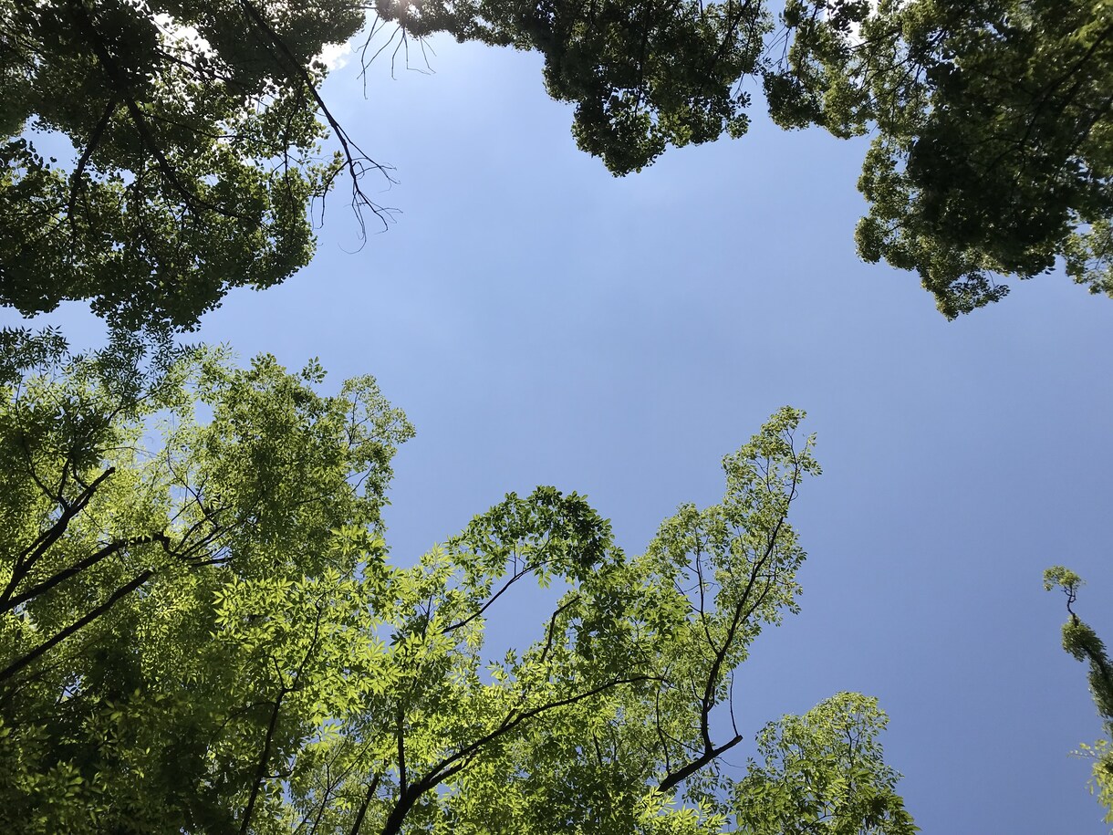 貴方が嫌いな自分自身を癒して許して手離します 幸せを知ってください。人は幸せにしかならないのです。 イメージ3