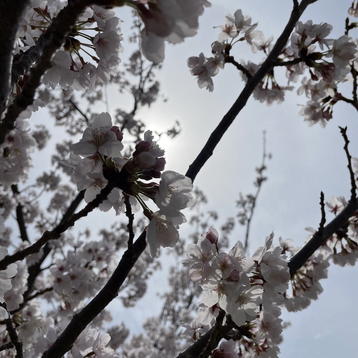 溜まってること、お聞きします 悩みや愚痴の吐き口にどうぞお聞きまします´`* イメージ3