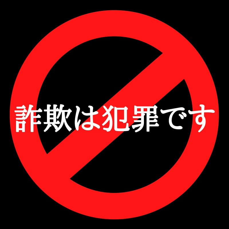 あなたが情報商材・商品で副業詐欺にあう前に教えます 副業、初心者さん必見‼️「簡単に稼げます」に騙されないで‼️ イメージ2