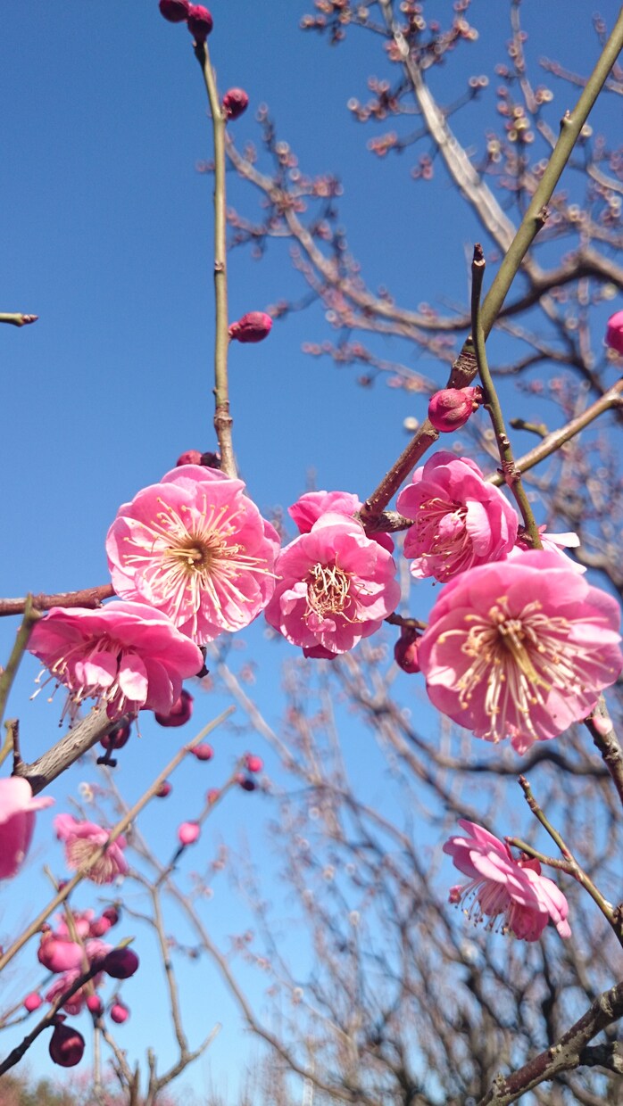 今の貴方の状態を伝えます 悩んだり、行き詰まった時、しんどいときに‼ イメージ2