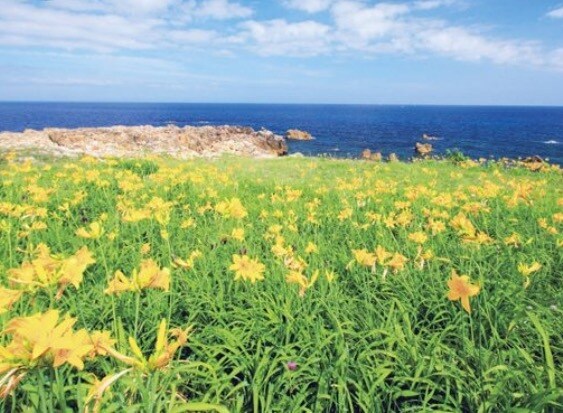 チャット形式で愚痴相談を承ります あなたの愚痴を受け止めます。普段言えない愚痴吐き出して下さい イメージ4