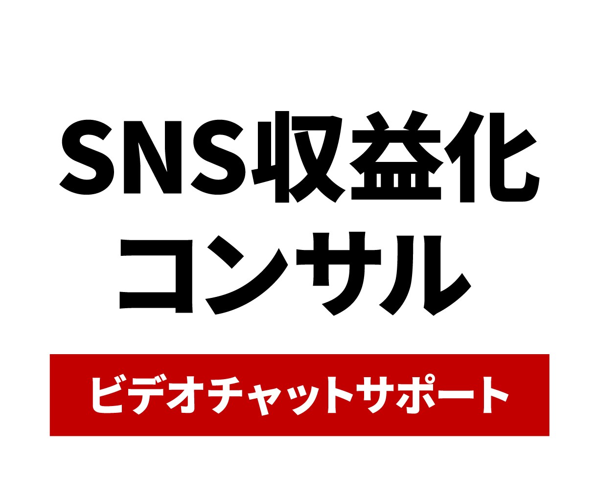 あなたの収益化をマンツーマンで徹底サポートします 【アカウント設計ご購入者様限定】ビデオチャットサポート イメージ1