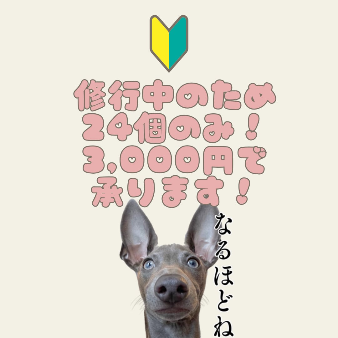 自慢のうちの子（ペット）のLINEスタンプ作ります 特訓期間のため２４個3,000円の１メニューです！ イメージ4