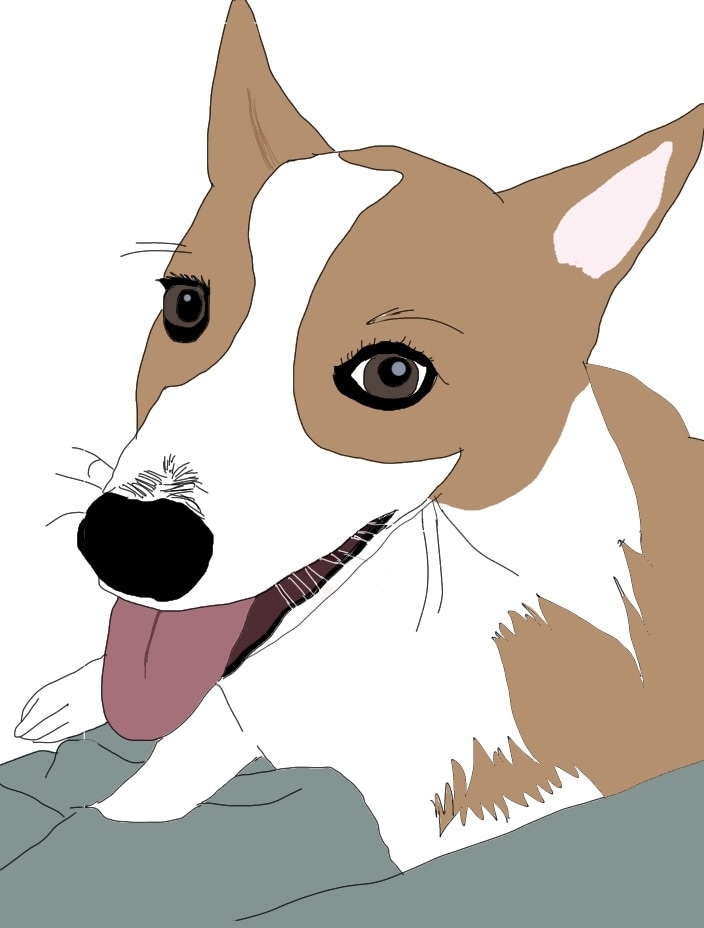 線画、ポップなペットちゃんの絵描きます 大事なご家族を可愛いイラスト化します！【今だけこの価格！】 イメージ2