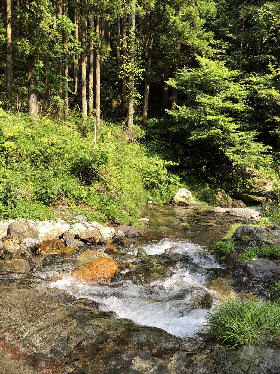 貴方の愚痴、お悩み聞きます 日頃頑張っている皆様の気分を軽くするために♪ イメージ2
