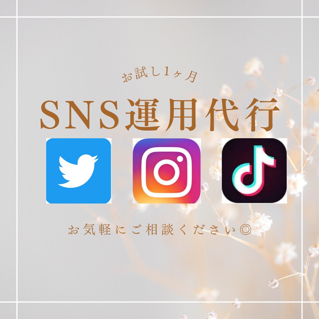 SNSの運用代行致します InstagramやTikTok、Twitterの運用代行 イメージ1