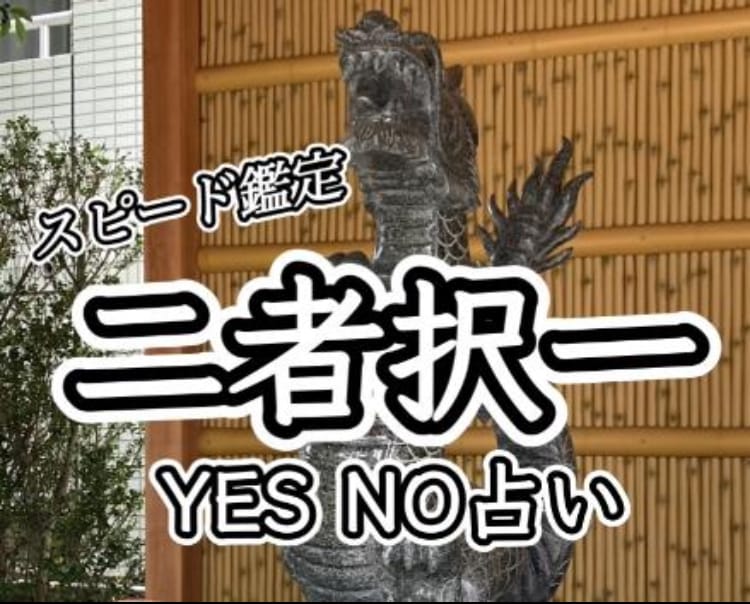 悩みへのアドバイスを霊感タロットで鑑定致します 今すぐ対応可能‼️10分鑑定ももちろんOK‼️ イメージ2