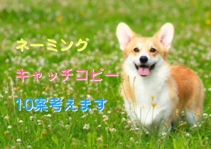 キャッチコピー【10案以上】考えます ココナラ復帰につき限定値下げ★現役コピーライターが考えます★ イメージ1