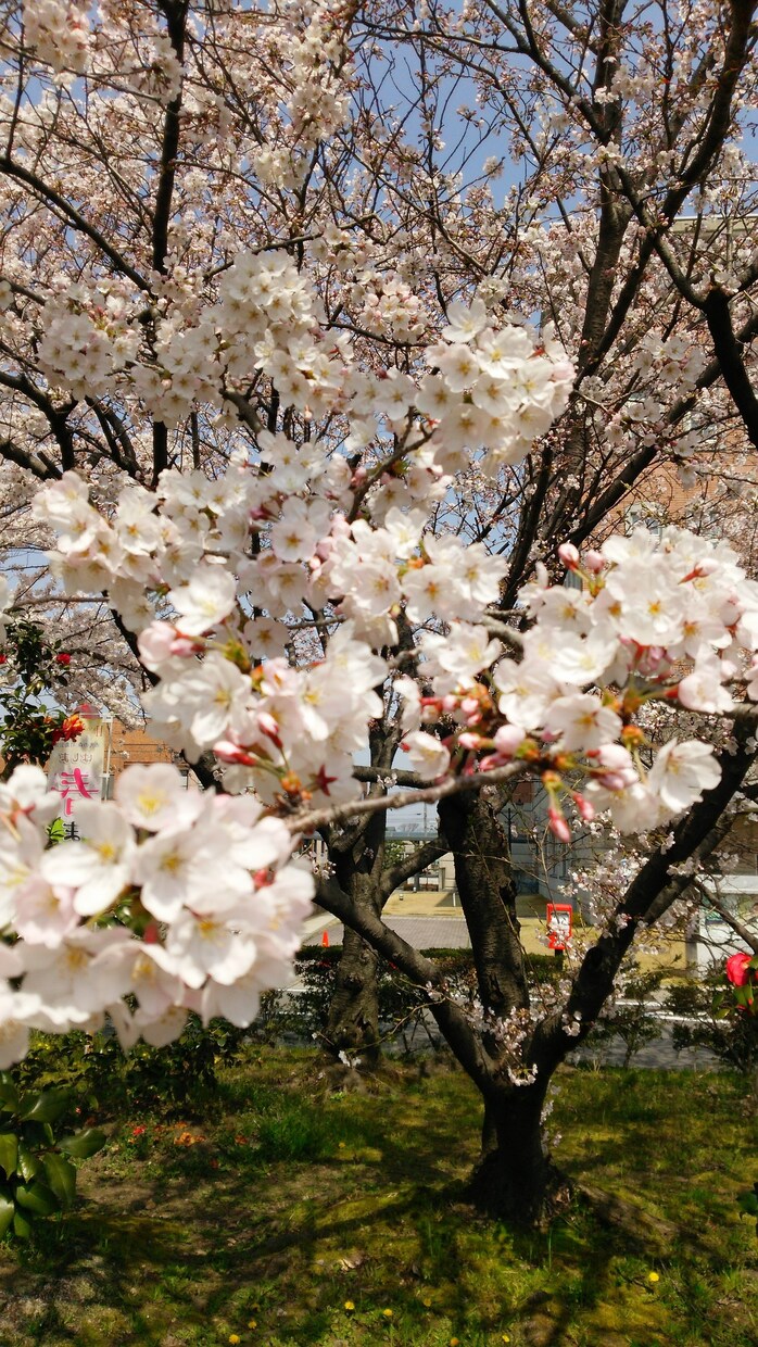 色々な写真提供します どこにでもありそうな写真ですが、お役に立てればと思います イメージ10