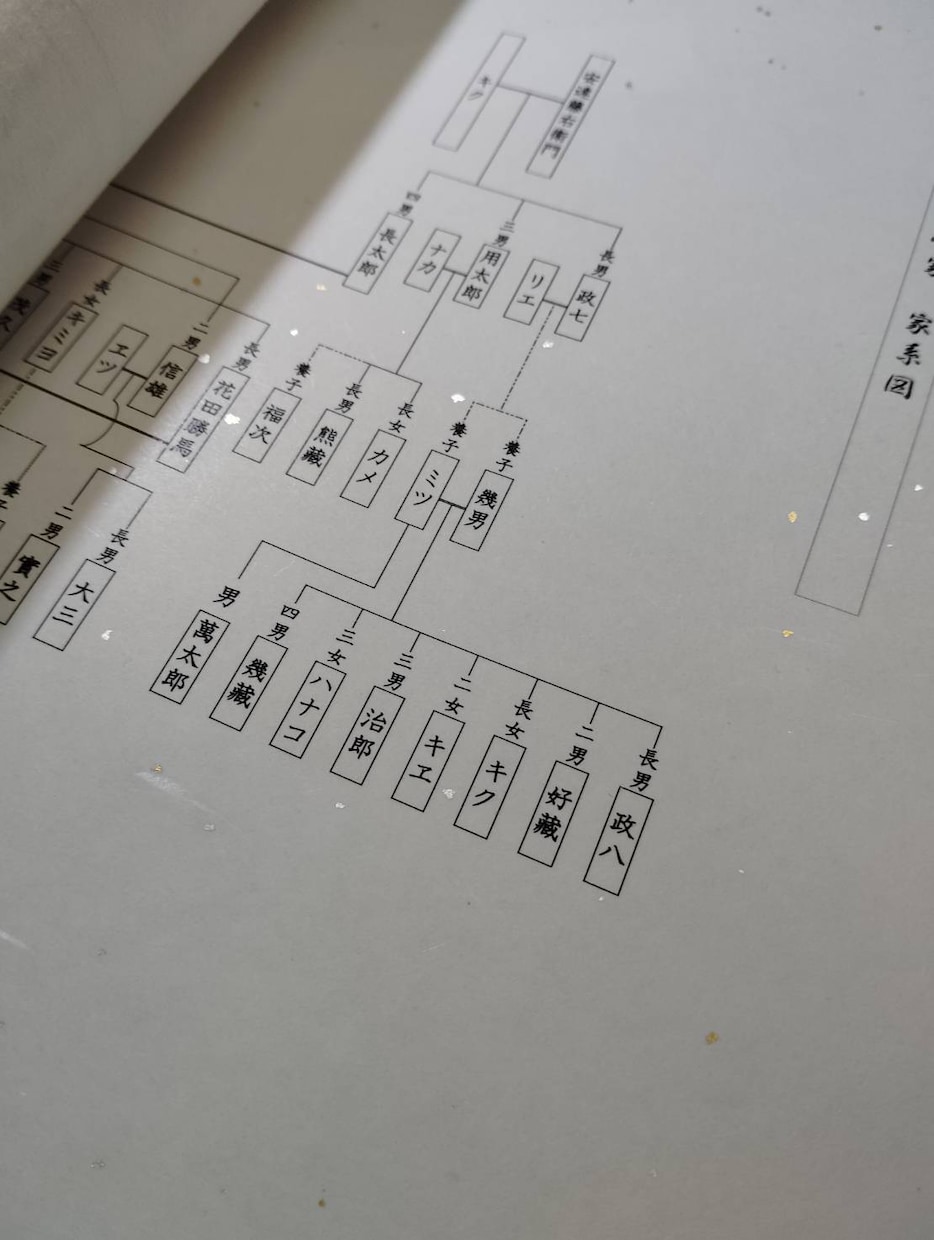 行政書士が戸籍調査をし、家系図を作成します あなたのルーツをたどってみませんか？ イメージ5