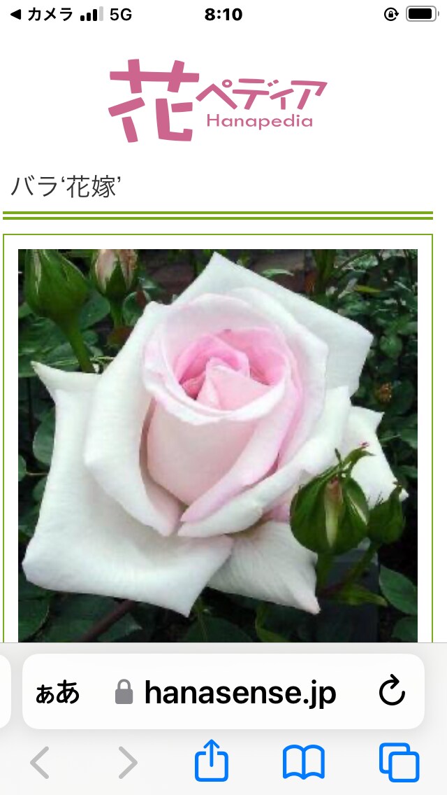 誰にも言えなくて辛い気持ちに寄り添います あなたの運命が好転する為に何が必要かをサポート致します！ イメージ3