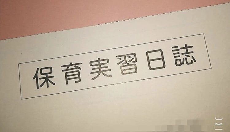 保育学生の指導案、実習記録のサポートします 眠れない量の記録、現役保育士がお手伝いします☆ イメージ2