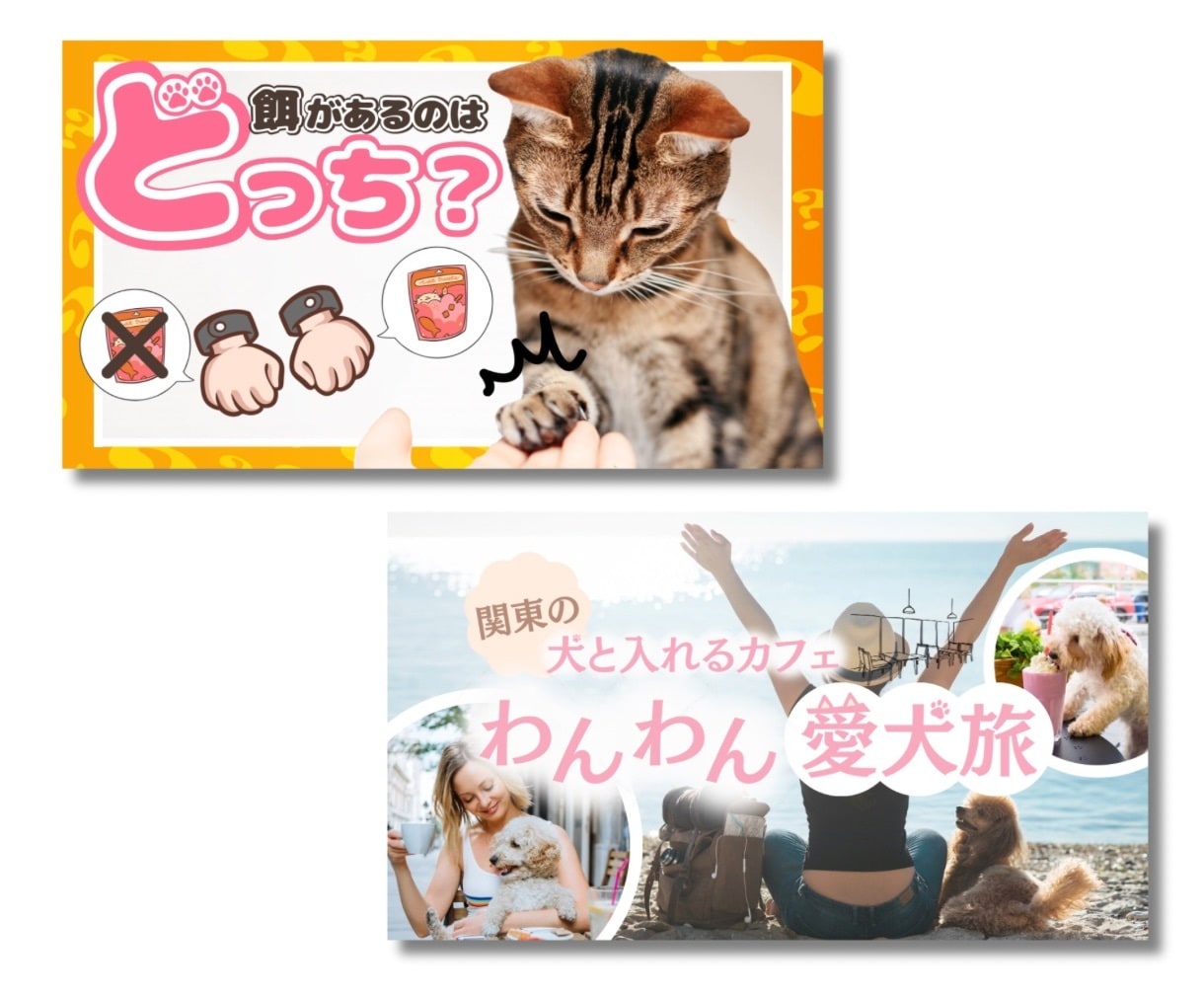 パッと目を引く動物のサムネイル制作します プロが制作！クリック＆再生数が上がる！YouTube集客に♪ イメージ7