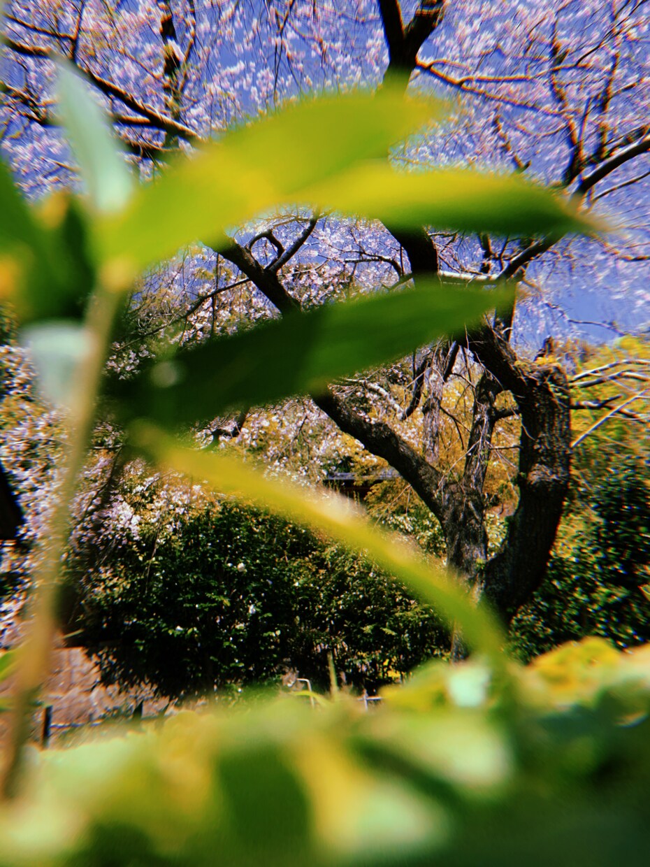 Instagramの投稿をお手伝いします 投稿したいけど何を投稿したら良いの？そんなお悩み解決します！ イメージ3