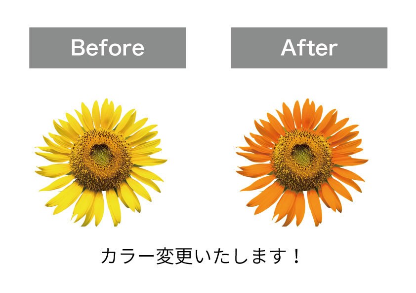 カラー　色　変更いたします 経験豊富な現役デザイナーが迅速に対応いたします イメージ1