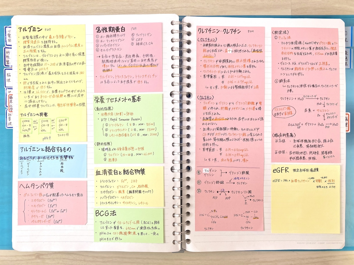 臨床検査技師 国試まとめノート【PDF】公開します これさえあれば何とか間に合う！要点・語呂合わせ盛り沢山！ イメージ2
