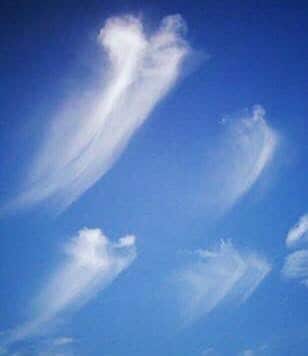 悩みや吐き出せない気持ちを寄り添ってお聴きします 普段、気持ちを溜め込んで吐き出せずにいるあなたへ！おススメ！ イメージ8