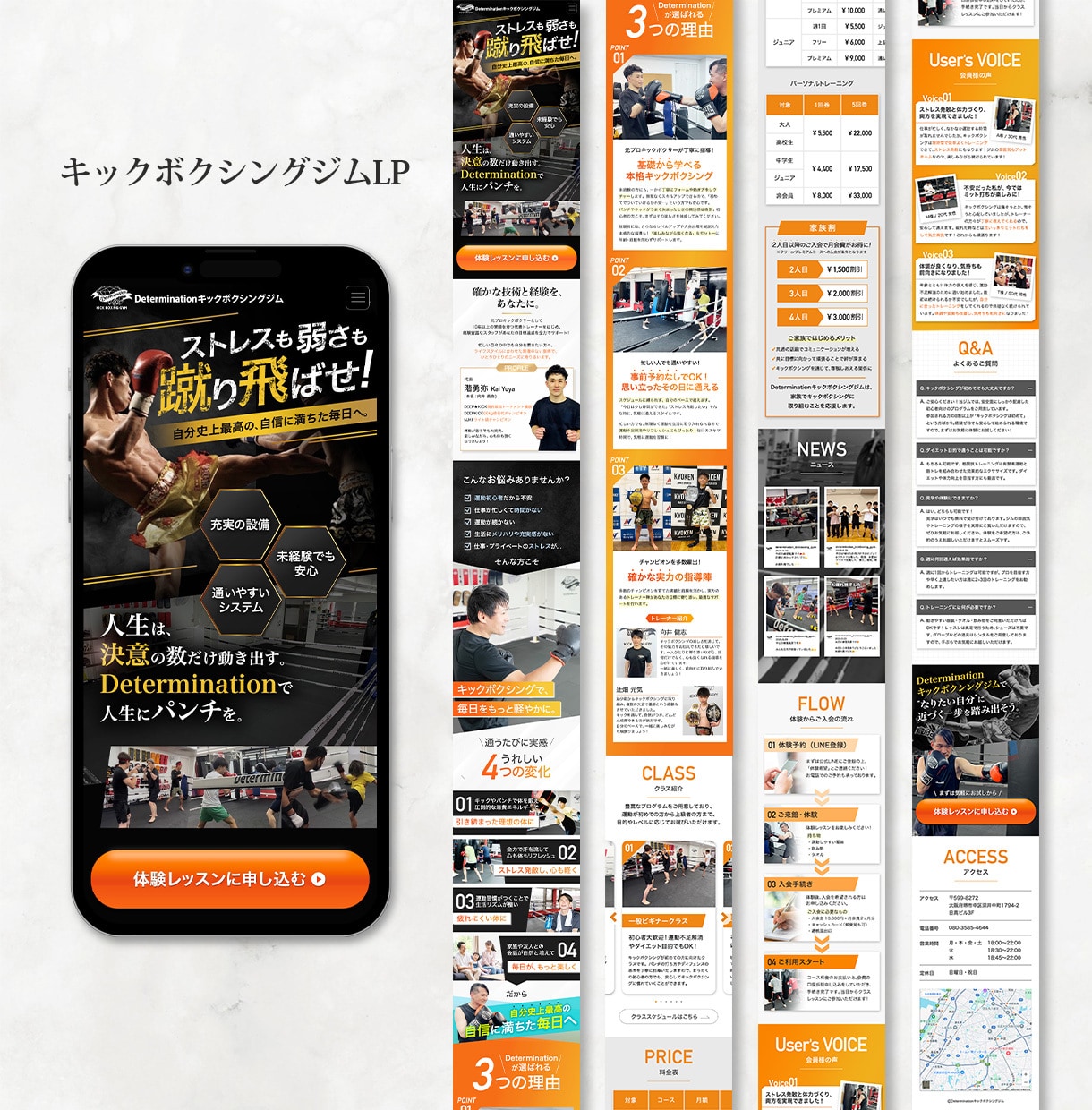 コスパ抜群！高品質で集客に強いLP制作します 【バナー1枚無料】成果に繋がるデザインを納得のいく品質で納品 イメージ5