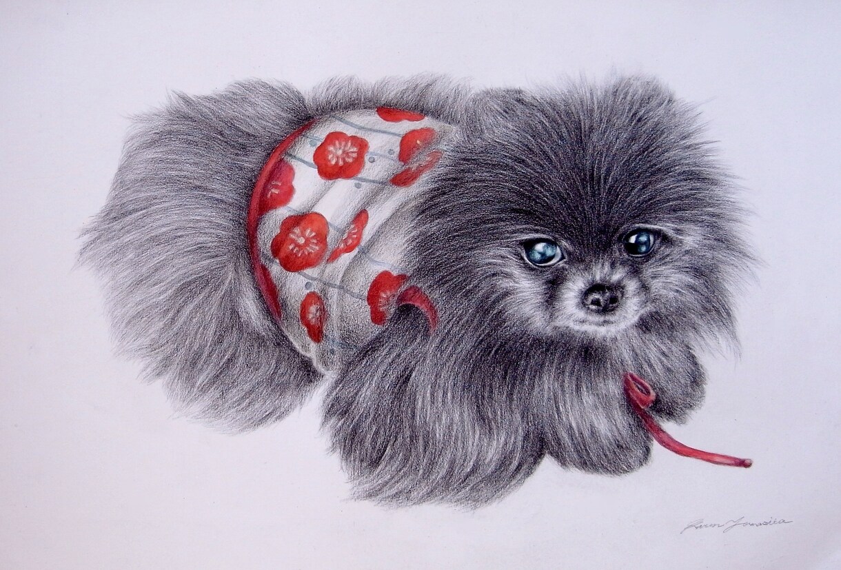 大切な“うちのこ”、お好きな動物お描きします うるうるの瞳や柔らかい毛並み等質感表現が得意です♪ イメージ1