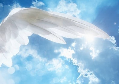 日英翻訳・契約書/各文書★全対応します 各種文書・英語音声↔︎日本語へ イメージ1