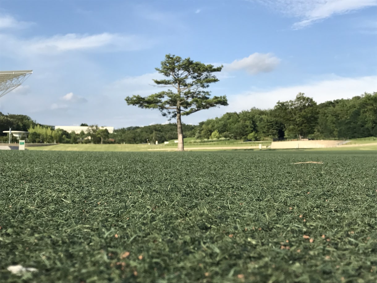 10代男子お話聞きます 年下好きにはもってこい！とっても元気です。 イメージ1