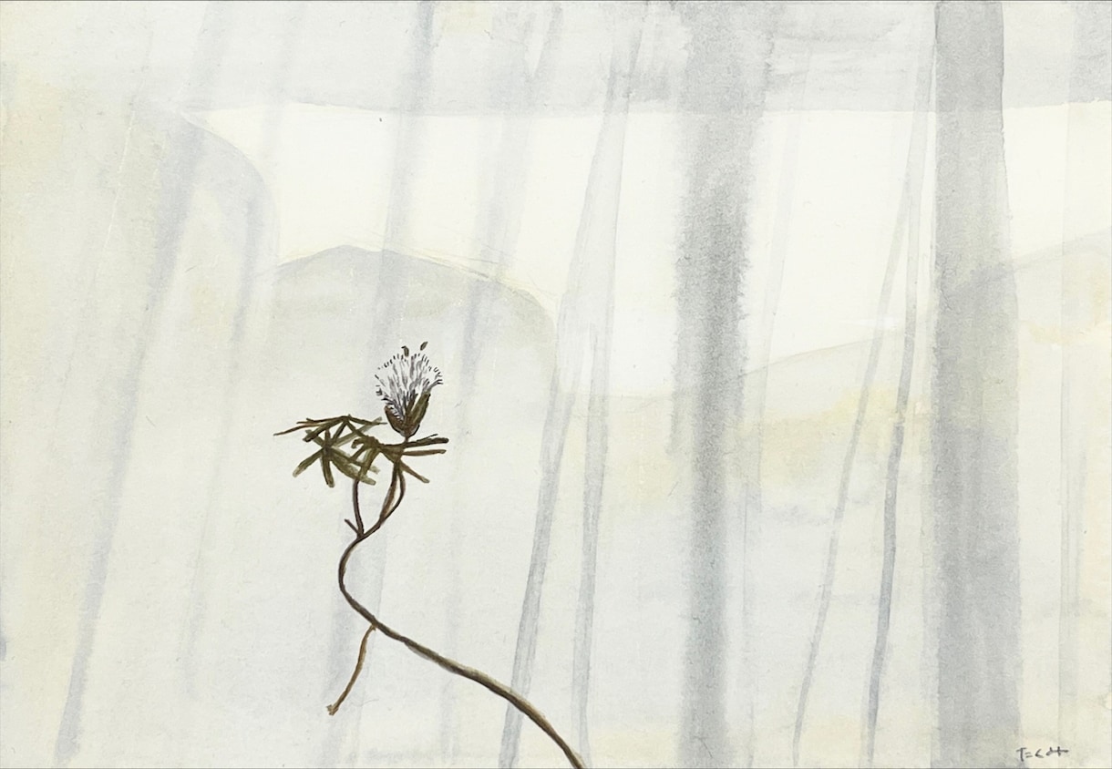 背景なし、シンプルな水彩イラスト描きます 絵本の1ページのような、静かな空気感の水彩イラストを描きます イメージ4