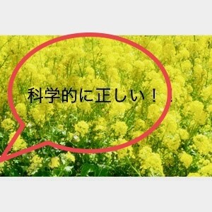 心と体が健康になる方法を具体的に教えます 悩みがある人〜不安、ストレス、肥満、人間関係、メンタルヘルス イメージ1