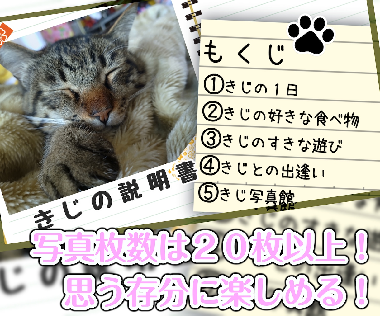 大好きなペットちゃんの説明書（動画）製作します ♪　ペットが好き好き♪　飼い主様のインタビューをもとに作成！ イメージ8