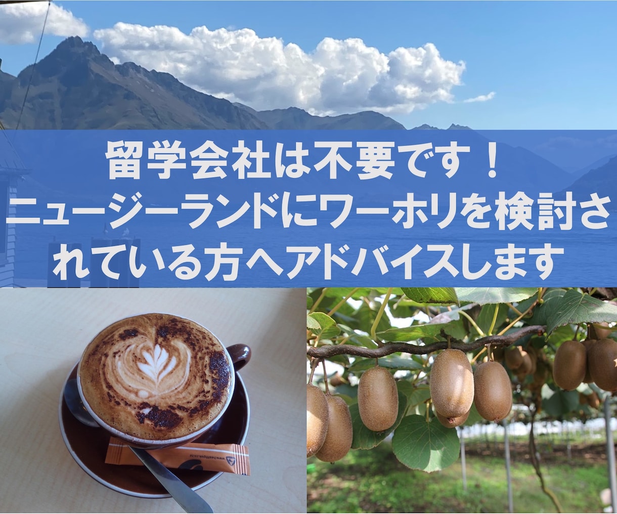 ニュージーランドでのワーホリへの不安が解消します NZ政府公認の留学のプロがワーホリのコツやノウハウを教えます イメージ1