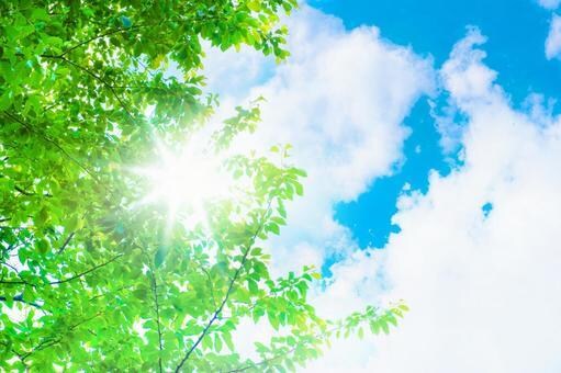 頑張らない生き方♪教えます 生きることが辛いかた、良いことが毎日無い方、僕が聞きます イメージ1