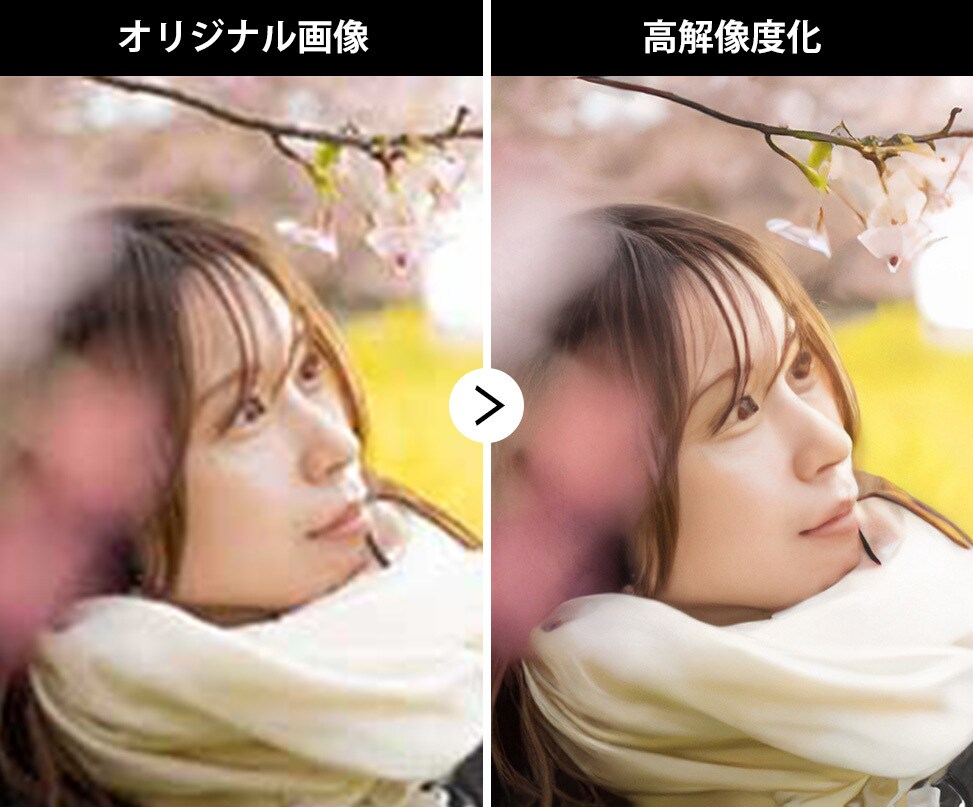 低解像度の写真をAIで拡大・高画質化します デザイナー歴25年・守秘義務厳守で対応いたします イメージ4